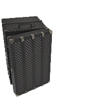 VANQUISH II WARDROBE TRUNK